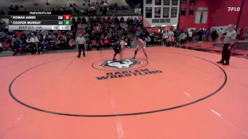 215 lbs 3rd Place Match - Roman Janek, EDWARDVILLE (HS) vs Cooper Murray, St. Charles (EAST)