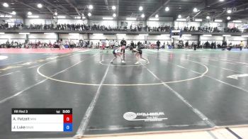 109-BLUE lbs Rr Rnd 3 - Amelia Patzelt, Minisink vs JoElle Luke, Saugerties