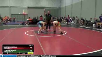 113 lbs Semis & 3rd Wb (16 Team) - Lucas Kaufman, Kansas Blue vs Luke Lilledahl, Pennsylvania