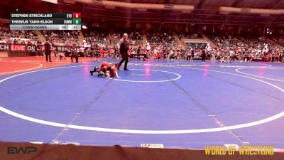 49 lbs Consolation - Stephen Strickland, Backyard Brawlers vs Theseus Yang-Elson, Summit Wrestling Academy