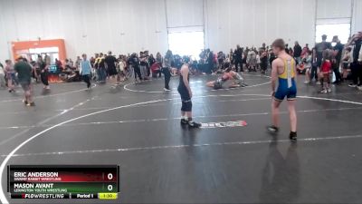 95 lbs Cons. Semi - Eric Anderson, Swamp Rabbit Wrestling vs Mason Avant, Lexington Youth Wrestling