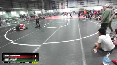 132 lbs Champ. Round 3 - Peyton Guiliani, Virginia Beach vs Brad Hughes, Grappler?s Garage