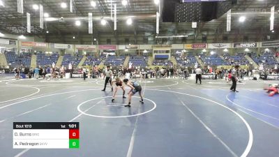 113 lbs Final - Owyn Burns, Brighton WC vs Andrew Pedregon, Skyview Wolverines WC