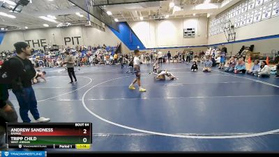 73 lbs Quarterfinal - Andrew Sandness, Ravage vs Tripp Child, West Jordan