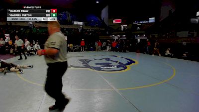165 lbs Semifinal - Daelyn Esaw, Wilson vs Gabriel Fulton, Bluffton