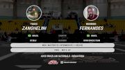 Rodrigo Fernandes vs Tiago Zanghelini 2025 ADCC Brazilian Nationals