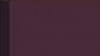 120 lbs Champ. Round 2 - Morgan Jenks, Fowlerville vs Karli Eichenlaub, CLERMONT NORTHEASTERN