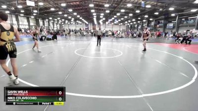 120 lbs Rd# 8- 12:30pm Saturday Final Pool - Gavin Wells, East Coast Elite vs Niko Colavecchio, Ranger WC