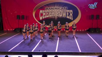 CDX Elite - Generals [2025 L2 Senior - D2 Day 1] 2025 Cheer Power Trenton Showdown