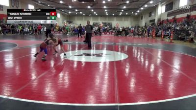 50 lbs Quarterfinal - Collin Krumrei, Grand Rapids Grapplers vs Levi Lynch, Elk River