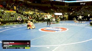 106 Class 3 lbs Cons. Semi - Aiden Hahn, Farmington vs Zayden Teson, Warrenton