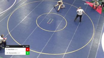 87 lbs Prelim - Rd 16 - Tanner Hamilton, Grove City vs Nathan Caracciolo, Hempfield