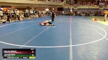 120 lbs Cons. Semi - Nolan Meisch, Dassel-Cokato-Litchfield vs Cayton Pahl, Pine Island