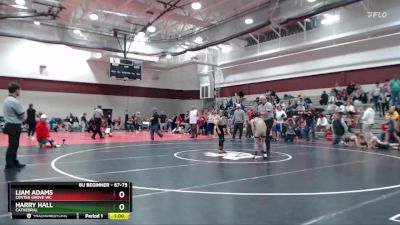 67-75 lbs Round 2 - Harry Hall, Cathedral vs Liam Adams, Center Grove WC