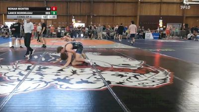 145 lbs Consi Of 4 - Ronan Montes, Blair Academy vs Lance Bordeleau, Doughboy