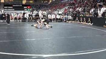 113 lbs Semis - Nico Desalvo, Southeast Polk vs Joey Cahill, Waukee Northwest