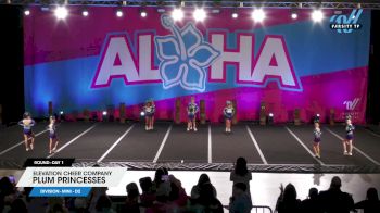 Elevation Cheer Company - Plum Princesses [2025 L1 Mini - D2 Day 1] 2025 Aloha Concord Showdown