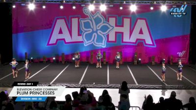 Elevation Cheer Company - Plum Princesses [2025 L1 Mini - D2 Day 1] 2025 Aloha Concord Showdown