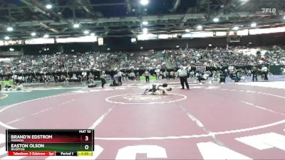 106 lbs Quarterfinal - Brand`n Edstrom, Madison vs Easton Olson, Riverton