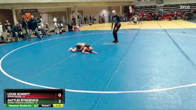 45 lbs Finals (8 Team) - Gattlin Rynkievich, Dassel-Cokato-Litchfield vs Louis Schmitt, Grand Rapids