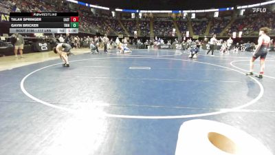 117 lbs Round Of 32 - Talan Springer, East Penn vs Gavin Bricker, Trinity