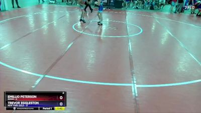 97 lbs Semis & 1st Wrestleback (8 Team) - Emillio Peterson, Idaho vs Trevor Eggleston, New York Gold