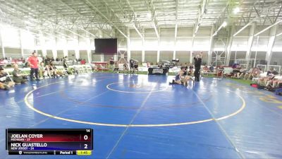 126 lbs Placement Matches (8 Team) - Joelan Coyer, Michigan vs Nick Guastello, New Jersey
