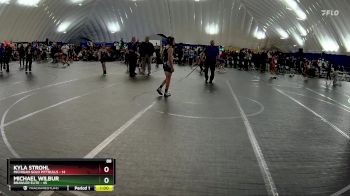 88 lbs Round 9 (10 Team) - Kyla Strohl, Michigan Gold Pittbulls vs Michael Wilbur, Brawler Elite