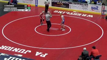 103 lbs Consi Of 16 #1 - Cj Dreshman, Canon McMillan vs Andrew Dorman, General McLane