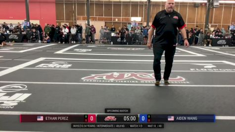 Ethan Perez vs Aiden Wang 2026 ADCC Portland Open