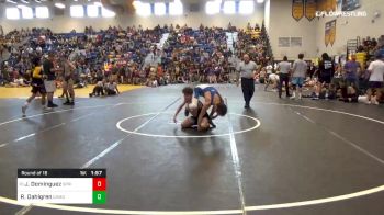 113 lbs Round Of 16 - Jonathan Dominguez, Springstead vs Riley Dahlgren, Camden Elite