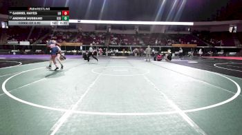 197 lbs Consi Of 8 #2 - Gabriel Hayes, Liberty vs Andrew Husband, Kansas State