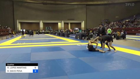 RODRIGO LOPES MARTINS vs RICARDO DAVID PENA 2024 Pan IBJJF Jiu-Jitsu No-Gi Championship