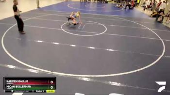 65 lbs Quarterfinal - Micah Bullerman, Adrian vs Kamden Gallus, Sartell