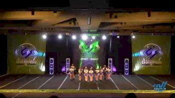 Northern Extreme Athletics - Obsession [2021 L4 Senior Coed - D2 Day 3] 2021 CSG Super Nationals DI & DII