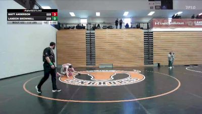 113 lbs Round Of 16 - Matt Anderson, Georgia vs Landon Brownell, Georgia