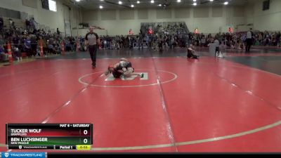 80 lbs Quarterfinal - Ben Luchsinger, New Prague vs Tucker Wolf, Grapplers