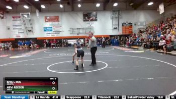 100 lbs Quarterfinal - Nevi Reeser, Amity vs Kiya L Roe, Knappa