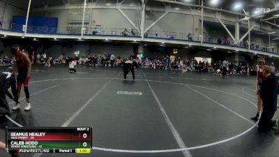 76 lbs Round 1 (4 Team) - Caleb Hodo, Vipers Wrestling vs Seamus Healey, Yale Street