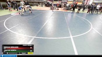 132 lbs Champ. Round 1 - Deegan Birkaker, MN vs Tristan North, WI