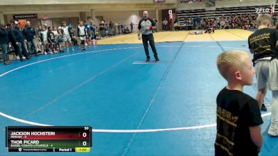 50 lbs Quarterfinals (8 Team) - Thor Picard, Dassel-Cokato-Litchfield vs Jackson Hochstein, Perham