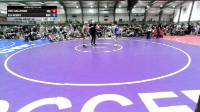 132 lbs Cons. Rd Of 32 - Tre Hallford, Fighting Squirrels vs Eli Berry, USA Gold