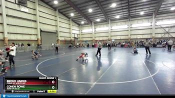 58 lbs Champ. Round 1 - Bronx Harris, Cedar Jr. Wrestling vs Cohen Rowe, Sons Of Atlas