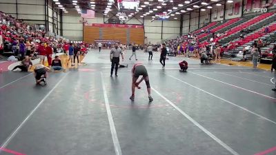 165 lbs Champ. Round 1 - Logan Farnell, Indianapolis vs Conner Johnston, Central Missouri