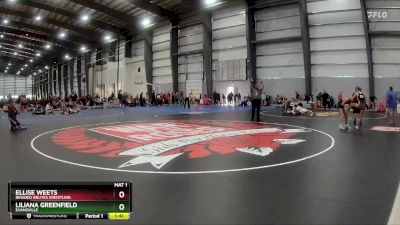 112 lbs Cons. Semi - Liliana Greenfield, Evansville vs Ellise Weets, Braided Brutes Wrestling