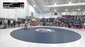 138 lbs Champ. Round 1 - Austin Mitchell, Layton vs Kayle Pine, Timpanogos