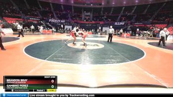 2A 195 lbs Quarterfinal - Gambino Perez, Chicago (Brother Rice) vs Brandon Bray, Chatham (Glenwood)