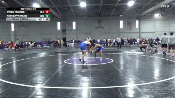 141 lbs Cons. Round 1 - Avery Femrite, Wisconsin-Platteville vs Andrew Watkins, Luther