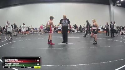 100 lbs Semis (4 Team) - Ramsey Crow, Backyard Brawlers Gold vs Gavin Horne, Backyard Brawlers Red