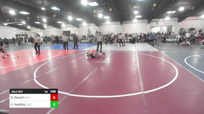 100 lbs Quarterfinal - Brandon Sewell, NM Gold vs Jax Haelbig, Lobos